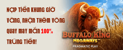 Khuyến Mãi Chào Mừng promotion